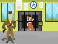 Animals Rescue background