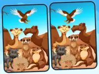Spot 5 Differences Deserts background