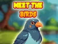 Meet The Birds background