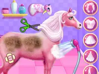 Princess Horse Caring background