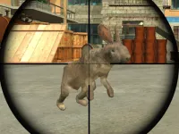Rabbit Shooter background