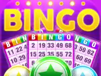 Bingo Pop background