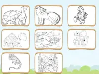 Desert Animals Coloring Book background