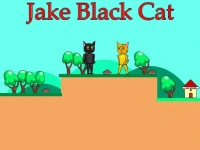 Jake Black Cat background