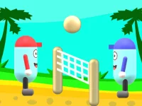 Beach Volleyball background