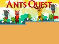 Ants Quest background