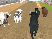 Bull Racing background