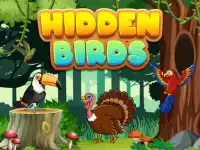 Hidden Birds background