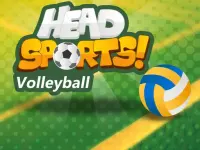 Head Sports Volleyball background