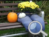 Autumn Garden - Find 100 butterflies background