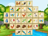 Birds Mahjong Deluxe background