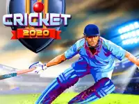 Cricket 2020 background