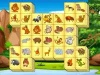 Zoo Mahjongg Deluxe background