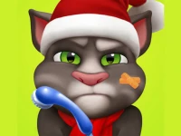 Talking Tom Injfdfury background