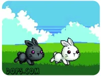 Bu Bunny Two Rabbit background