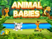 Animal Babies background