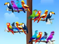 Bird Sort Puzzles background