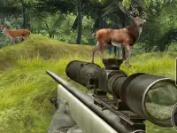 Sniper Hunting Deadly Animal background