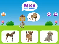 World of Alice - Baby animal background