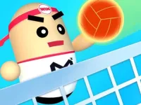 3D Amazing VolleyBall background