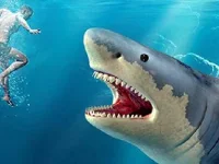 Shark Hunting background