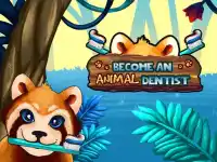 Become An Animal Dentist background
