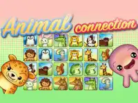 Animal Connection background