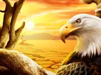 Eagle Slide background