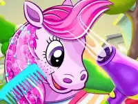 Pony Pet Salon background