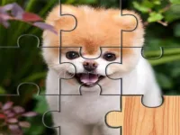 Cute Dogs Jigsaw Puzlle background