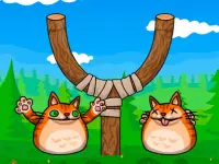 Shot the Angry Cat background