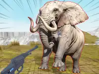 Zoo Anomaly Simulation background