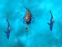 Avoid the Sharks background
