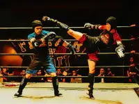 Fighters in the Ring background
