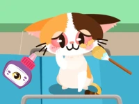 Baby Taylor Pet Care Center background