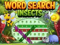 Word Search Insects background