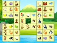 Animals Connect background