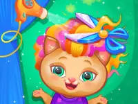 Pets Hair Salon background