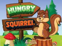 Hungry Squirrel background