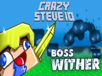 CrazySteve.io background