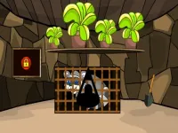 Rescue The Raccoon background