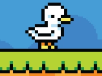 Duck Shift background
