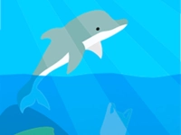 Dolphin Life background