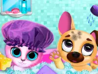 Cute Pet Friends background
