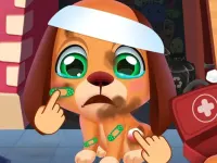 Stray Puppy Pet Care background