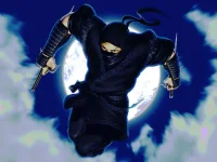 Ninja Defender background