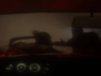 Spooky Jungle Safari background