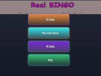 BINGO Real background