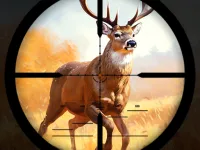 Wild Hunting Clash background