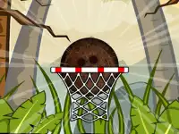 Coconut Basketball background